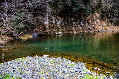 pond with flowers