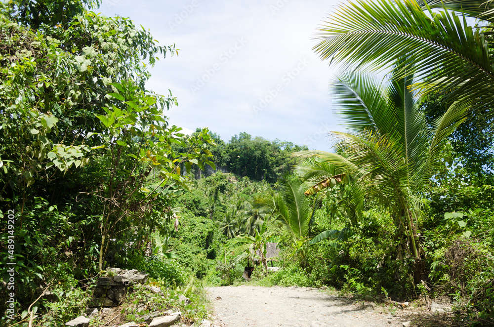 custom made wallpaper toronto digitalView and landscape of Mindanao Region, The Philippines, Lanuza area and Cortes.