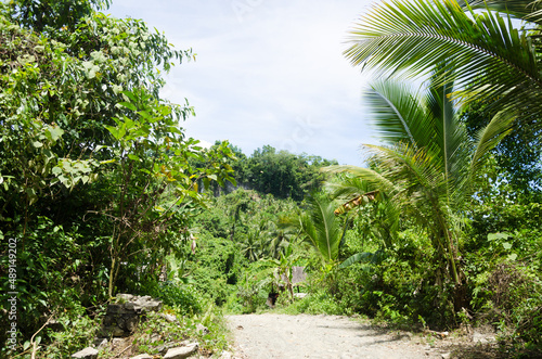 Wallpaper Mural View and landscape of Mindanao Region, The Philippines, Lanuza area and Cortes. Torontodigital.ca