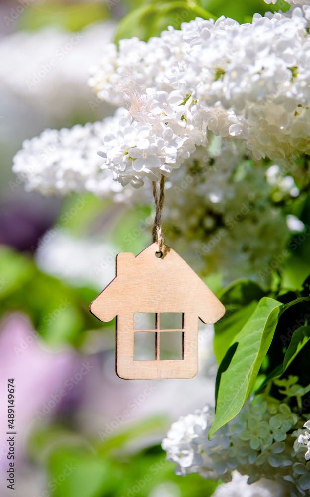 The symbol of the house among the branches of the white lilac
The symbol of the house among the branches of the white lilac