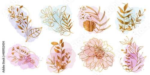 Set of floral frames with different grasses, ferns and leaves. Flower wreaths with ornaments and gold glitter effects. Element design. Vector illustration with colorful watercolors and gold.