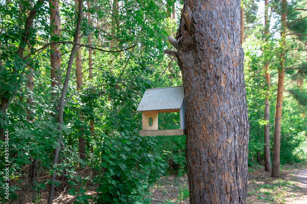 Bird feeder in the park on a tree. Bird feeder in the park on a tree.