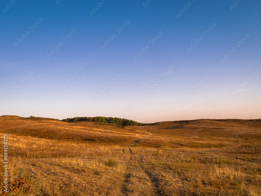 Steppe and yellow field in Ukraine.