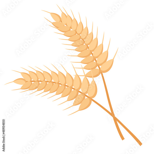 SPIKELETS