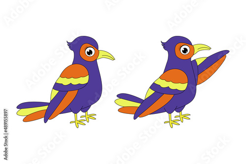 cute colorful bird illustration