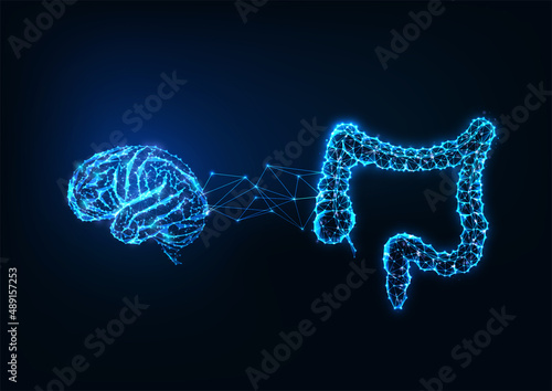 Futuristic gut brain connection concept with glowing low polygonal human brain and intestine  photo