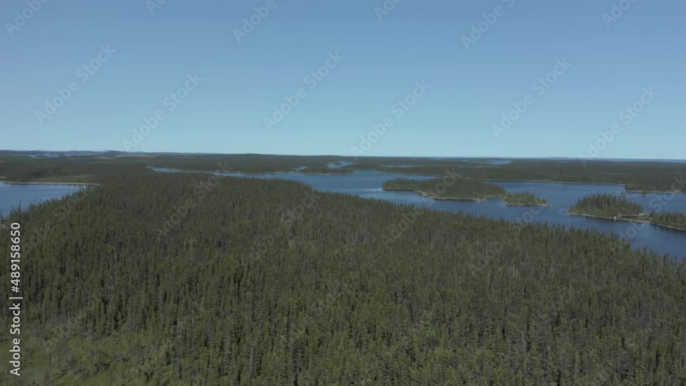 Drone flying laterally over a wild lake and forest on a beautiful summer day