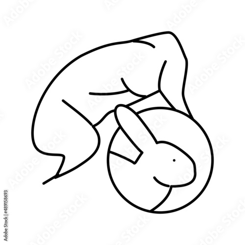rabbit meat carcass line icon vector illustration