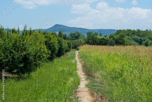 pathway passing by the orchard. Antalya Turkey