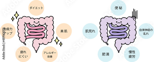 腸内環境のイラスト