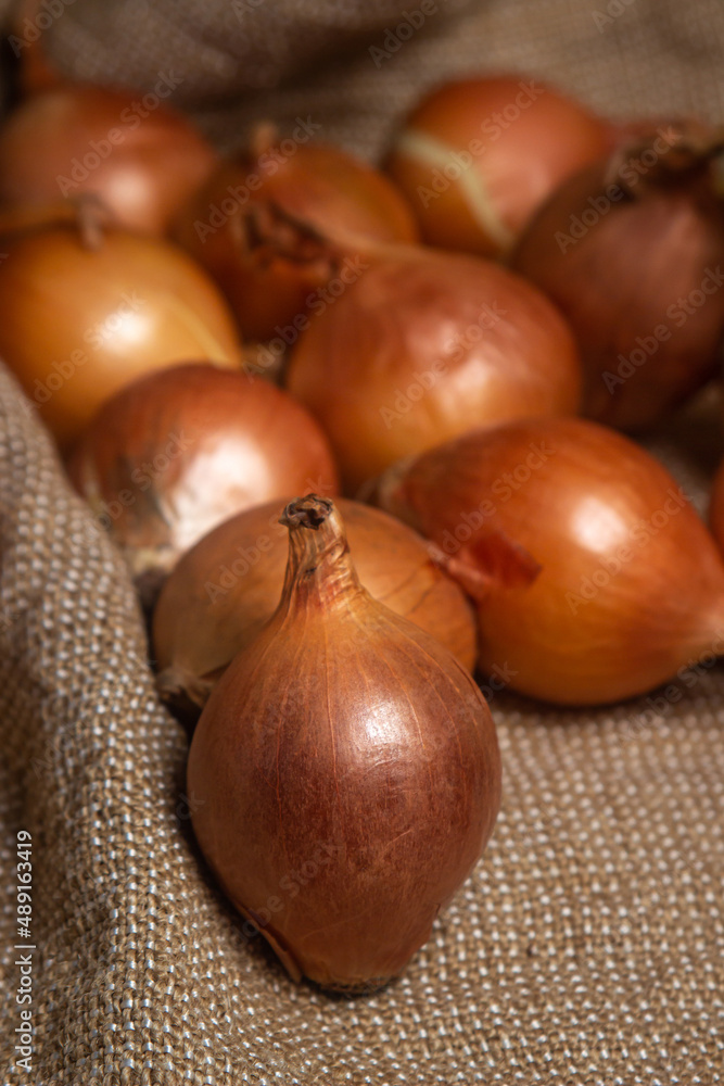 Onion on burlap. Harvest of yellow onions. Healthy vegetables Onion on burlap. Harvest of yellow onions. Healthy vegetables