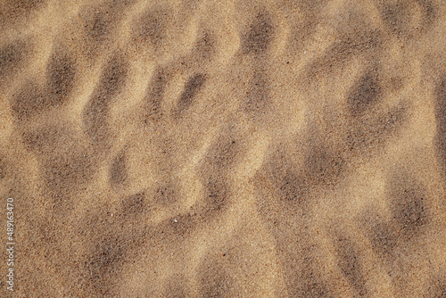 sand texture on the beach photo