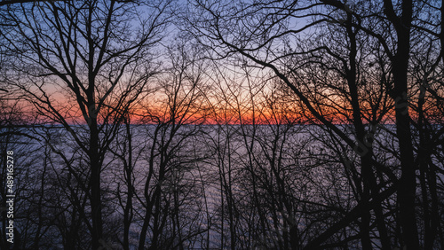 sunny sunset on the sea view from the coastal forest