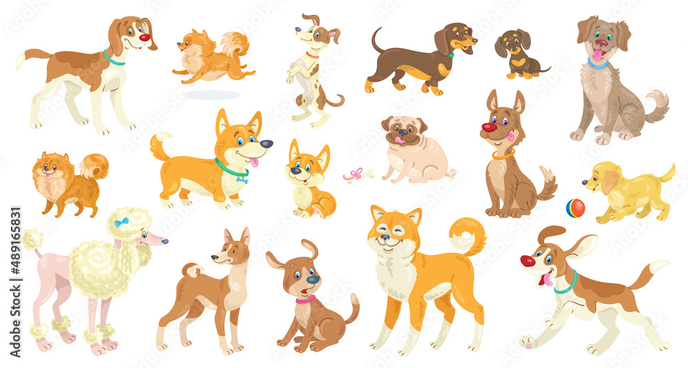Big set of funny dogs of different breeds, poses and emotions. In cartoon style. Isolated on white background. Vector flat illustration.