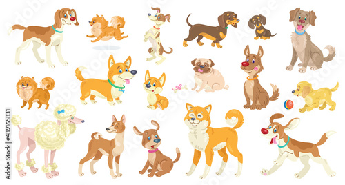 Big set of funny dogs of different breeds  poses and emotions. In cartoon style. Isolated on white background. Vector flat illustration.