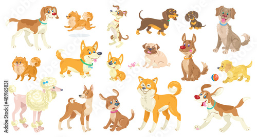 Big set of funny dogs of different breeds, poses and emotions. In cartoon style. Isolated on white background. Vector flat illustration.