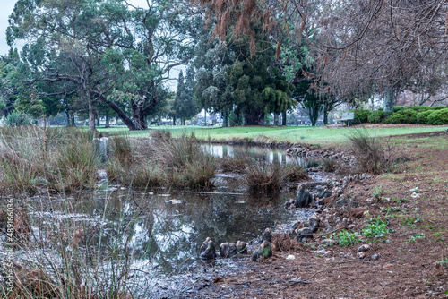 Landscape of Lake and Trees in Autumn with lots of Brown and Green and Water Reflections in Hamilton, New Zealand