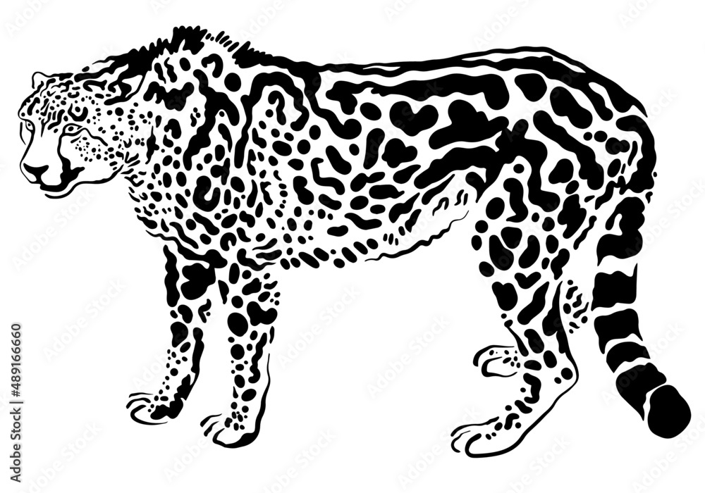 Fototapeta premium vector king cheetah symbol