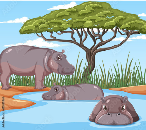Hippopotamus in pond forest scene