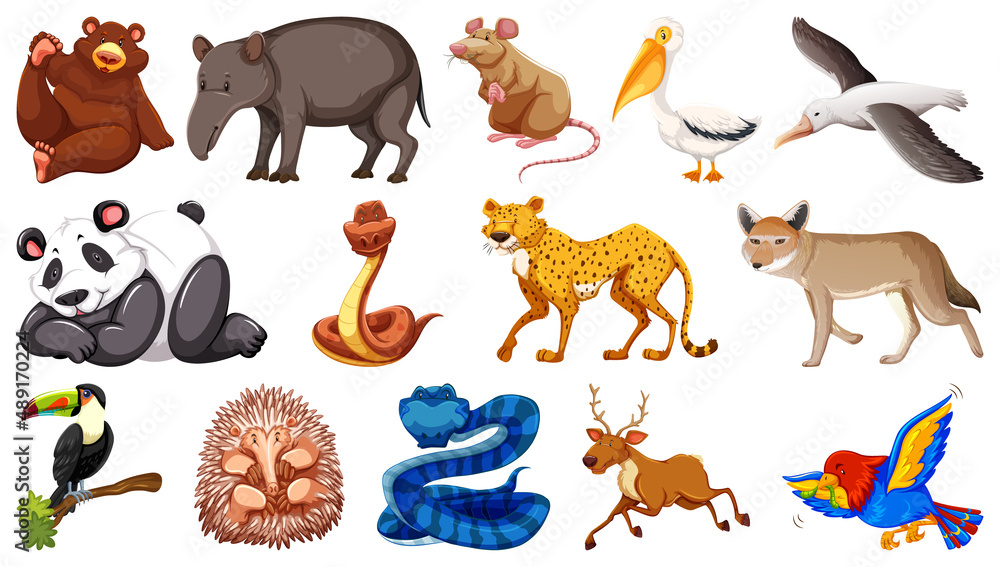 Set of different wild animals cartoon characters Stock Vector | Adobe Stock