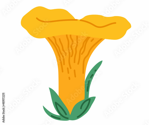 chanterelle cartoon mushroom isolated on white background. Vector illustration