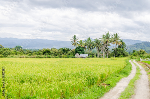 Views in detail of the megalith or 
Megalitik Palindo, Tadulako, Pokekea, Sleeping, Sepe located in Poso Regency, also rice fields and markets. Sulawesi.