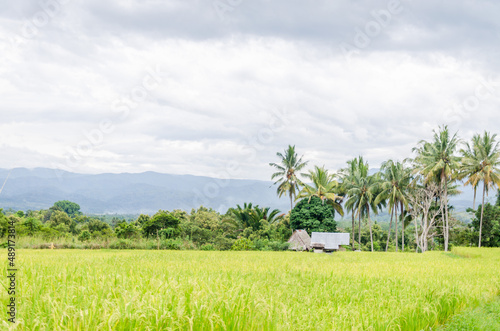 Views in detail of the megalith or 
Megalitik Palindo, Tadulako, Pokekea, Sleeping, Sepe located in Poso Regency, also rice fields and markets. Sulawesi.