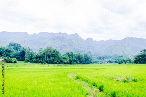 Views in detail of Rantepao and Tana Toraja Regency. Shoeing the graves, rice fields and markets. South Sulawesi