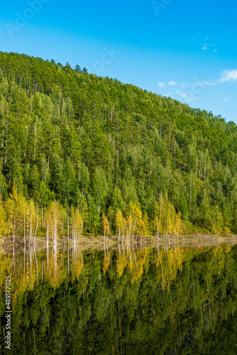 forest and mountain are reflected in the river summer sunny day