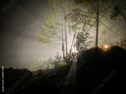 night photo of a tree in the fog with a background light in the forest
