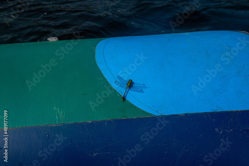 a dragonfly sits on an inflatable boat against the background of a river in summer