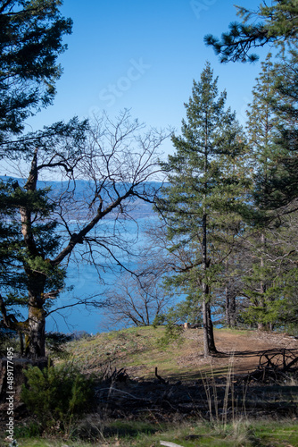 A vertical view of a clear lake through trees in Mendocino National Forest photo