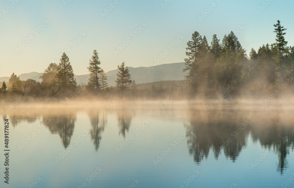 View of forest lake in morning fog, summer travel