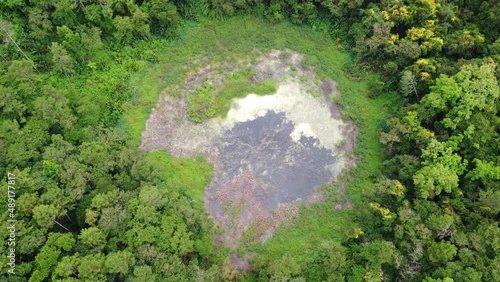 An extinct ancient volcano called Trou-aux-Cerfs surrounded by jungle forest, video from a drone of a volcano in Mauritius photo