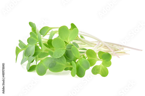 heap of alfalfa sprouts on white background.