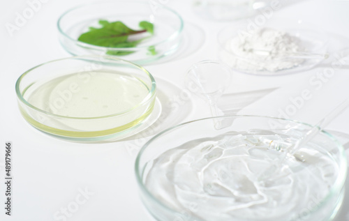 Glass petri dish and test tube with plant extract and green leaves . Research and develop cosmetic production in the laboratory. 