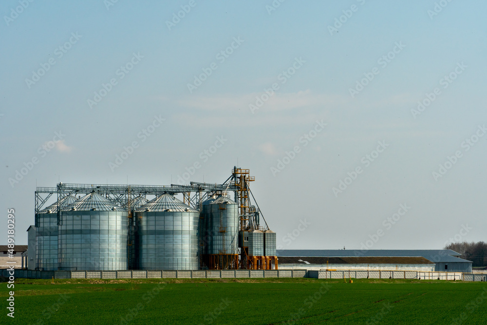 A large modern plant for the storage and processing of grain crops. view of the granary on a sunny day against the blue sky. End of harvest season. silver silos on agro manufacturing plant