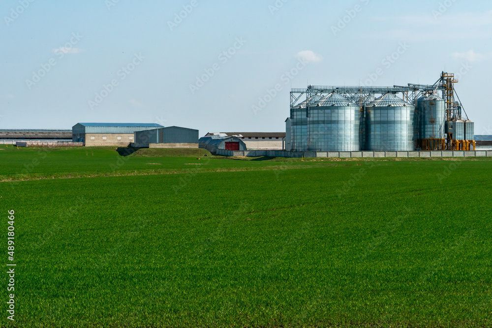 A large modern plant for the storage and processing of grain crops. view of the granary on a sunny day against the blue sky. End of harvest season. silver silos on agro manufacturing plant