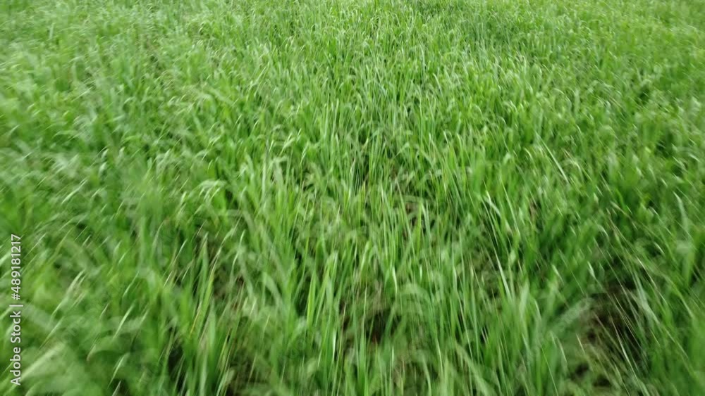 Drone video from Mauritius island, drone travel, beautiful views and tropics