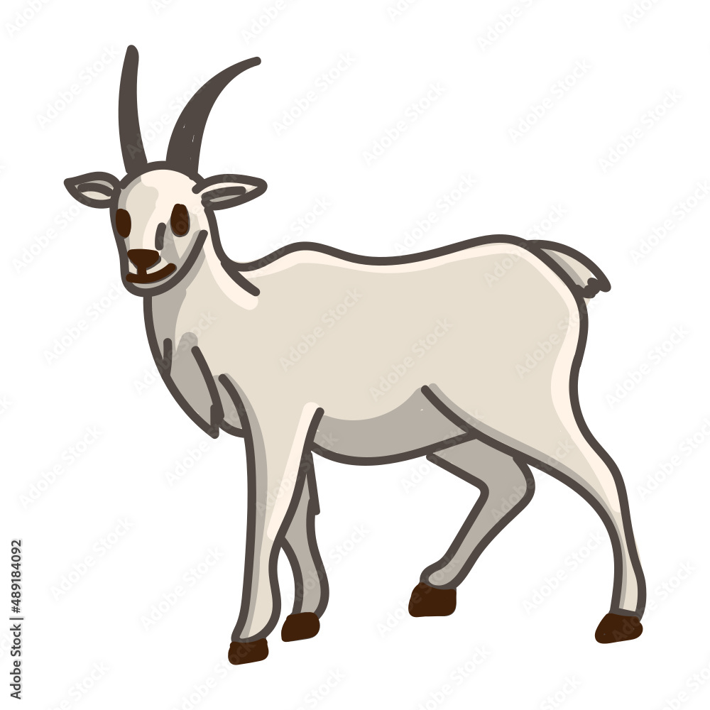 Hand drawn goat cartoon character illustration Animal.