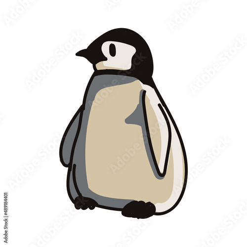 Hand drawn penguin cartoon character illustration Animal.