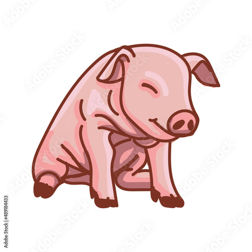 Hand drawn pig cartoon character illustration Animal.