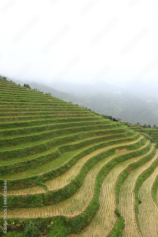 Longji Rice Terraces in Guilin, Guangxi, China