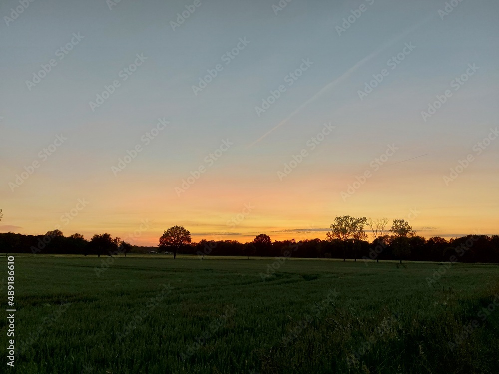 Am Horizont sind Silhouetten von Bäumen und Sträuchern zu sehen. Die gleiche Szene folgt dem Erwachen des Tages. Die Sonne geht auf und die Dunkelheit weicht vor dem Rauschen das Rot. Das Himmelblau.