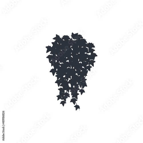 Pot ivy isometric icon in flat style, vector