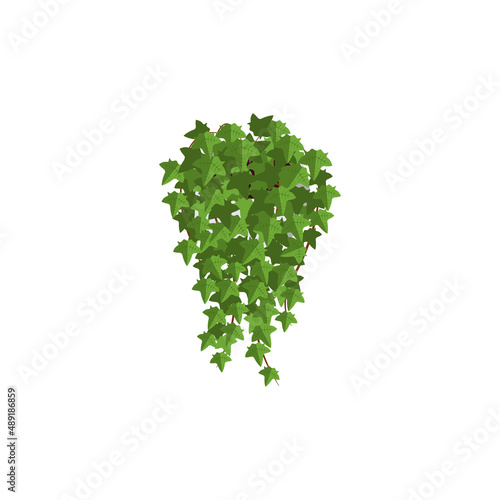 Pot ivy isometric icon in flat style, vector