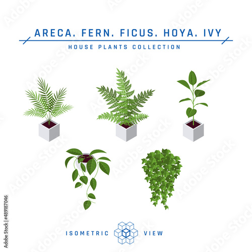 Isometric pot plants icons in flat style, vector