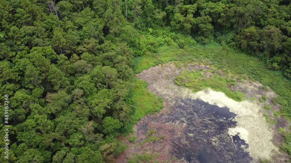 An extinct ancient volcano called Trou-aux-Cerfs surrounded by jungle forest, video from a drone of a volcano in Mauritius An extinct ancient volcano called Trou-aux-Cerfs surrounded by jungle forest, video from a drone of a volcano in Mauritius