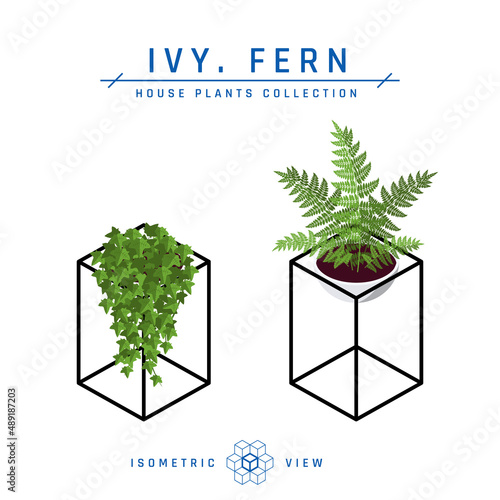 Isometric pot plants icons in flat style, vector