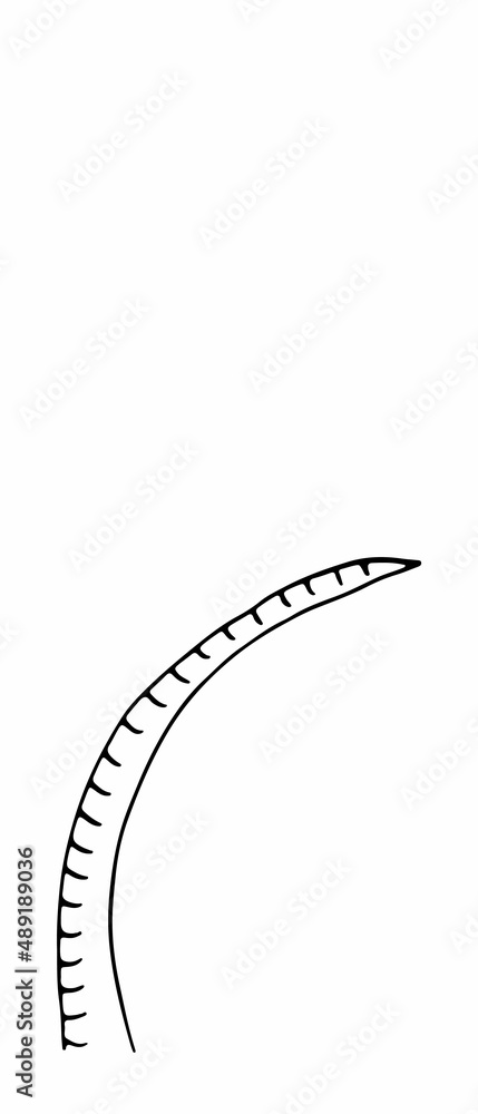 Fototapeta premium herb. Hand drawn vector herb in doodle style outline